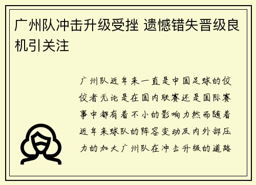 广州队冲击升级受挫 遗憾错失晋级良机引关注